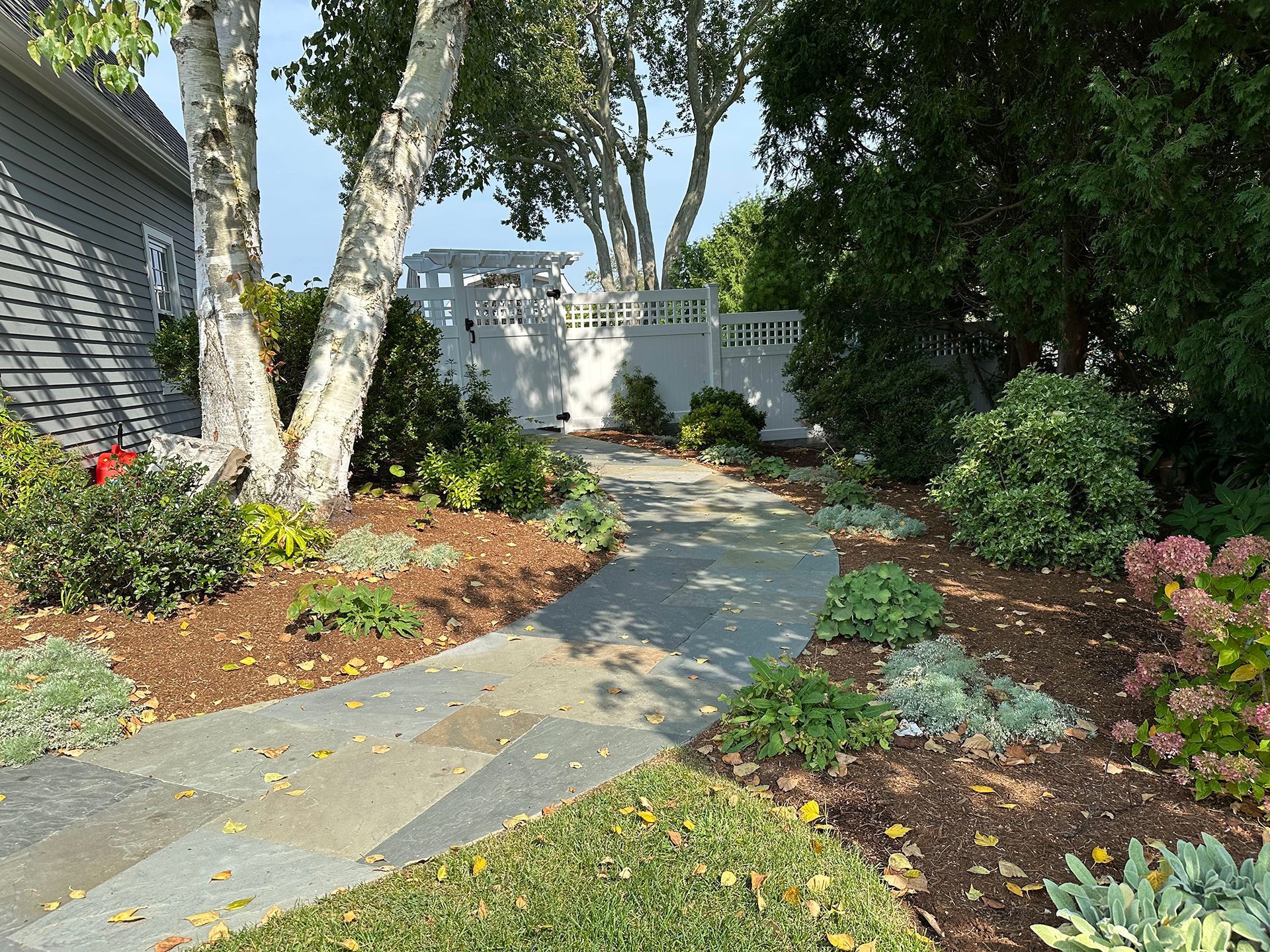 A stone walkway leading to a house surrounded by trees and bushes