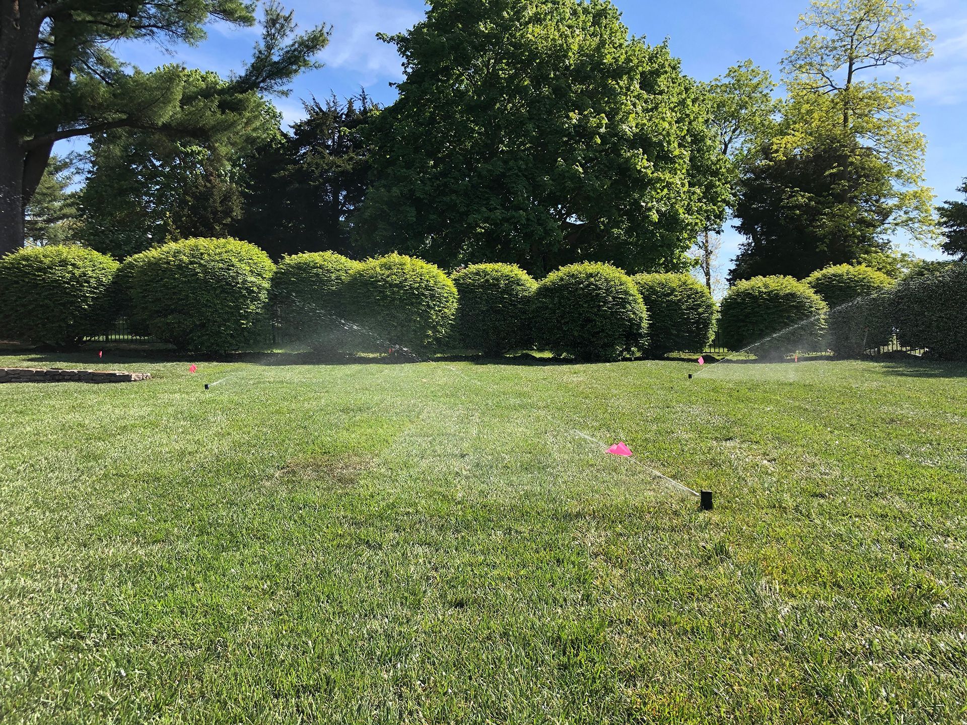 A sprinkler is spraying water on a lush green lawn.