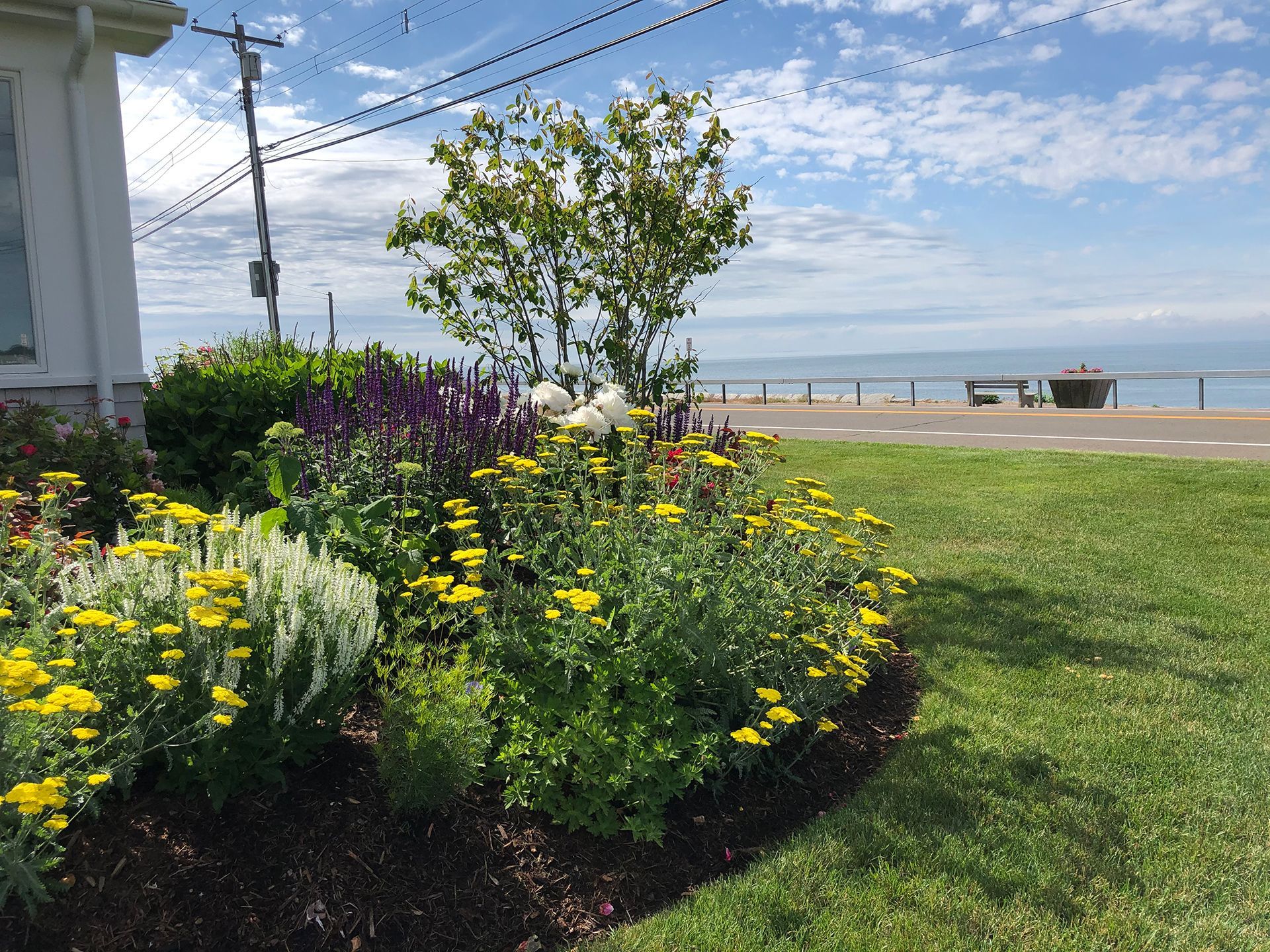 A garden with yellow and purple flowers in front of a house with a view of the ocean.