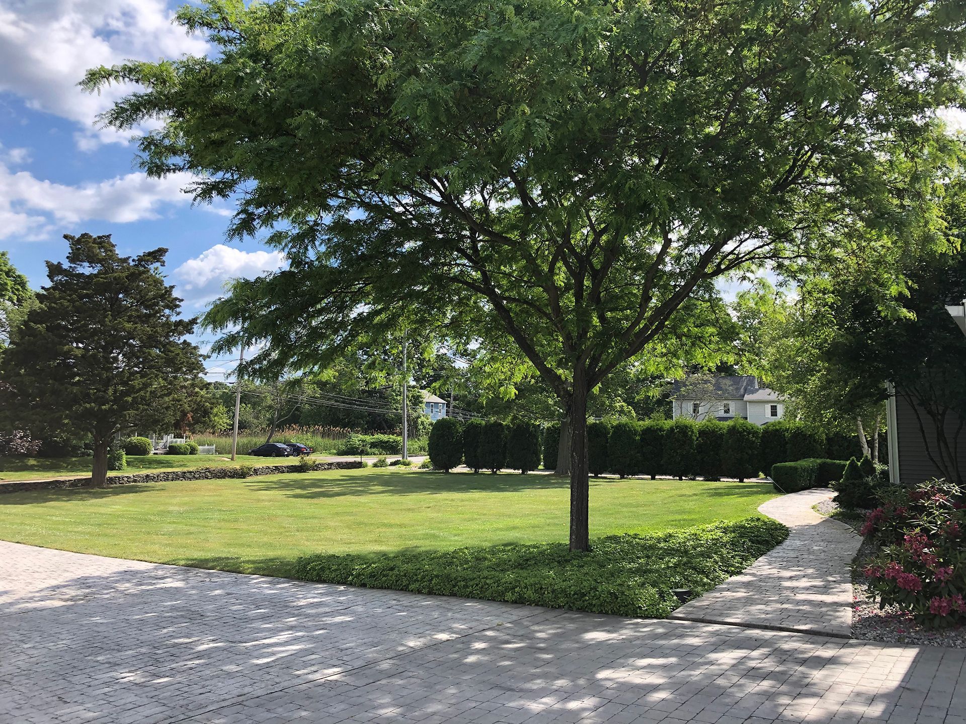 A driveway leading to a large grassy field with trees and bushes.