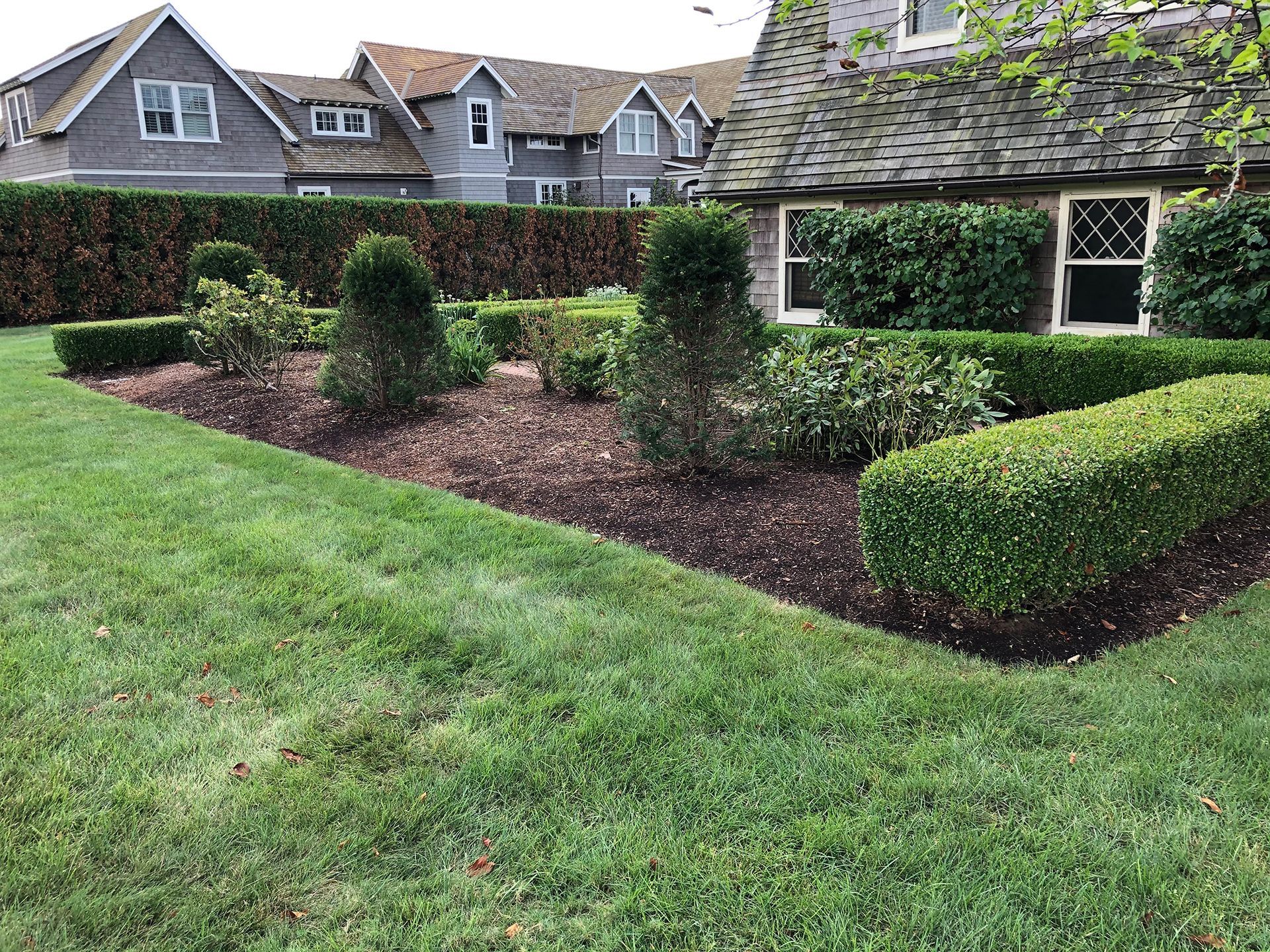 A lush green lawn in front of a house with a fence and bushes.