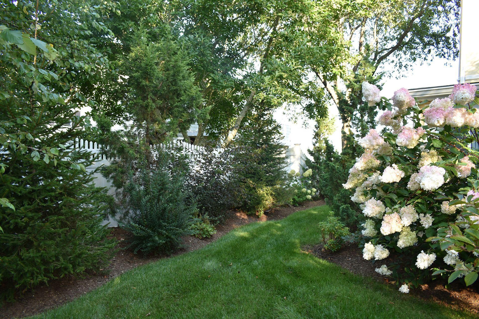 A lush green lawn surrounded by trees and bushes.
