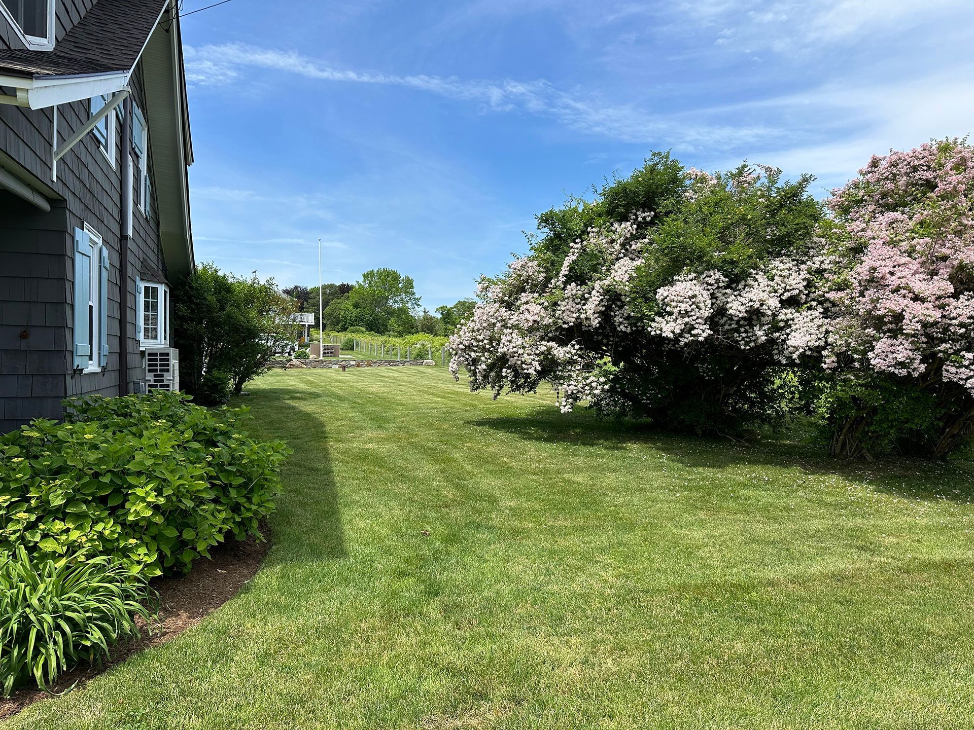 A large lawn with flowers and bushes in front of a house.