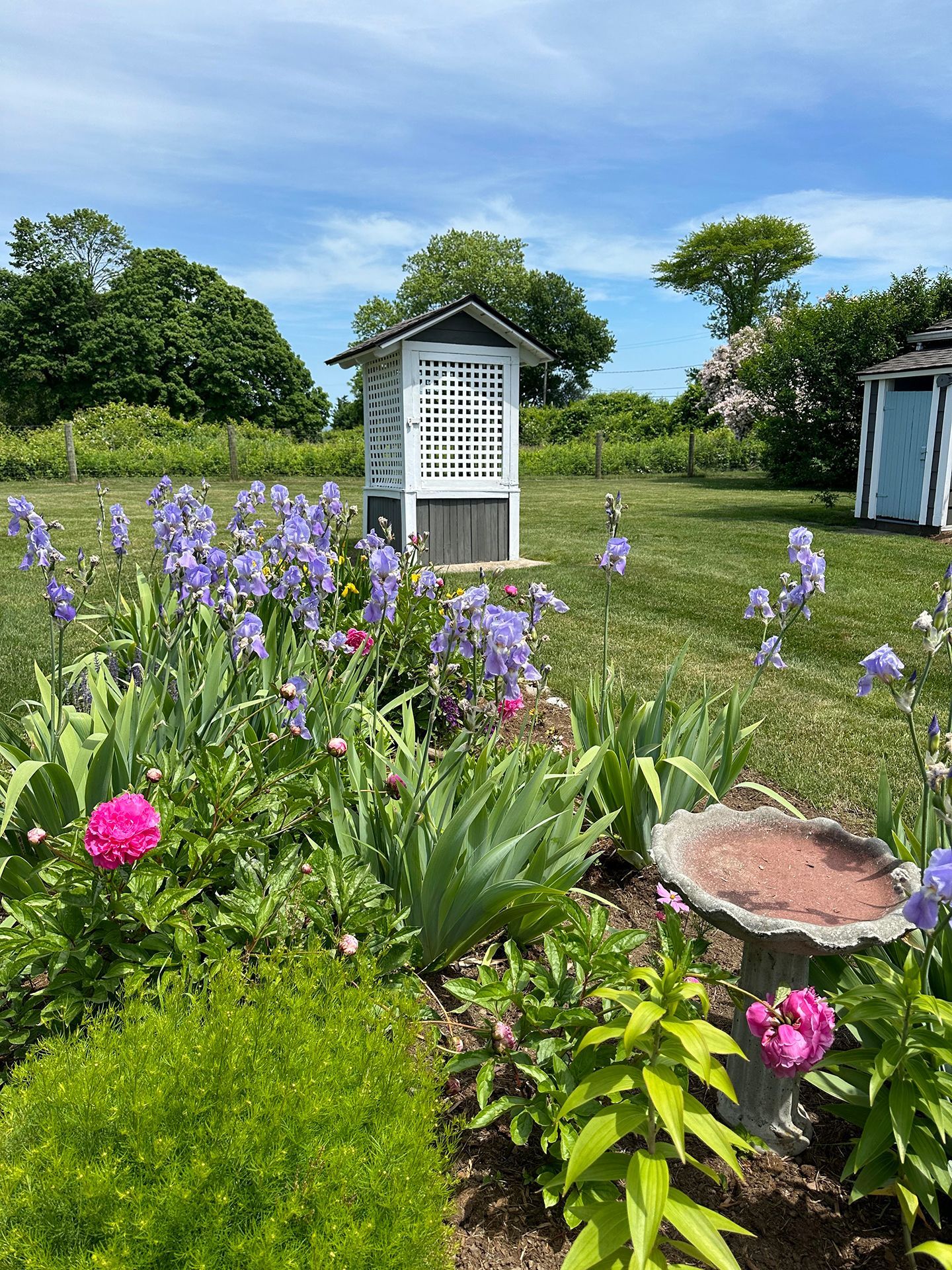 There is a bird bath in the middle of the garden.