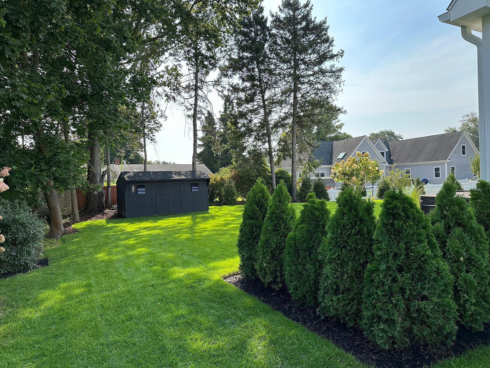 A large lush green yard with a shed in the middle of it surrounded by trees and bushes.