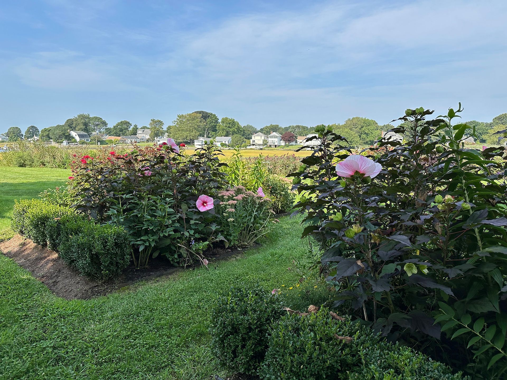 A garden filled with lots of flowers and bushes on a sunny day.