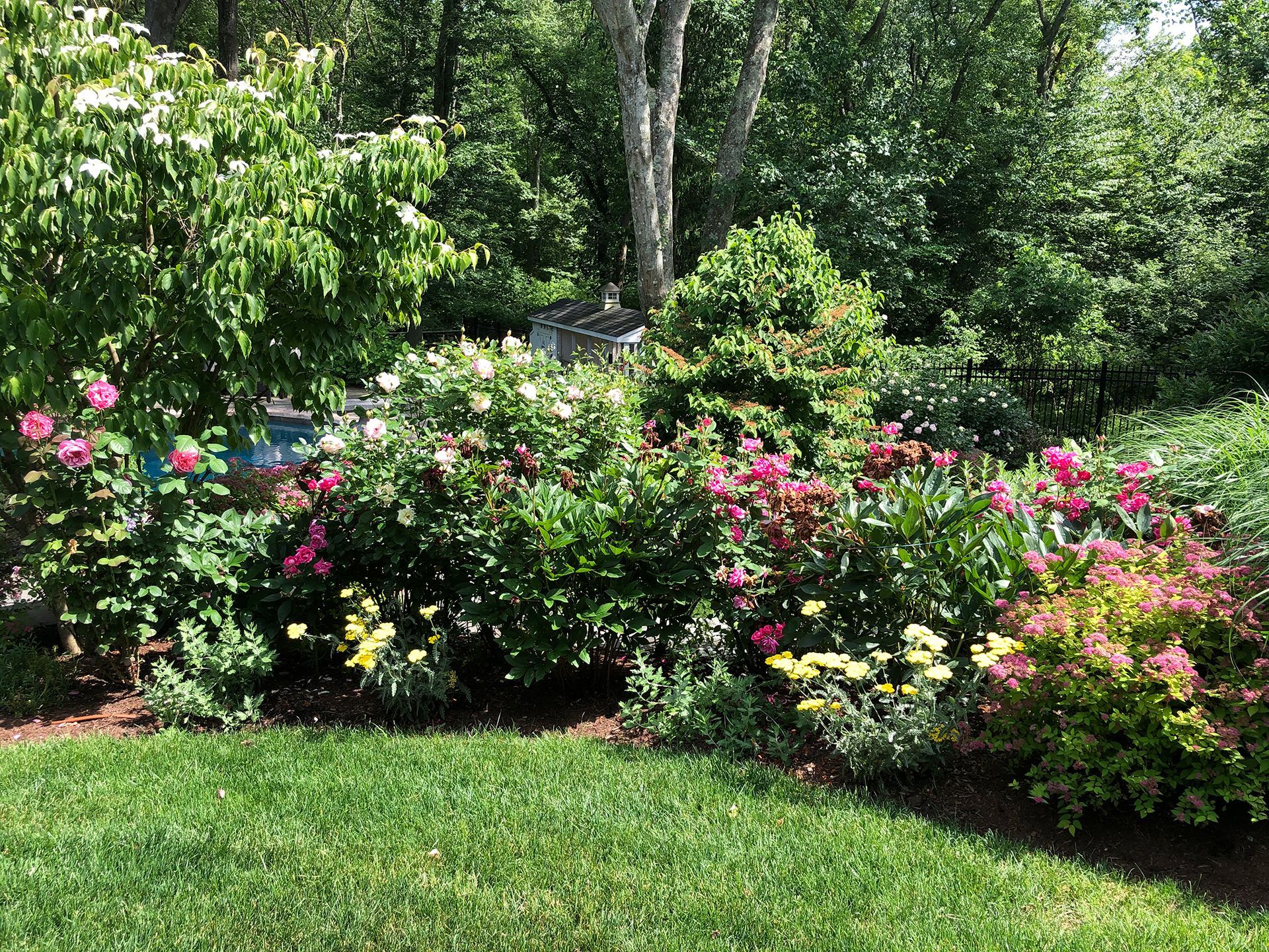 A garden filled with lots of flowers and trees