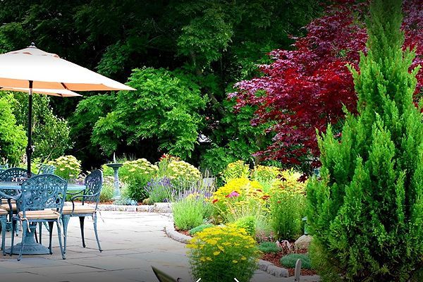 a large house with a lush green lawn in front of it .