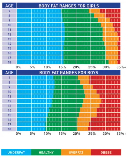 Body Fat Ranges Chart