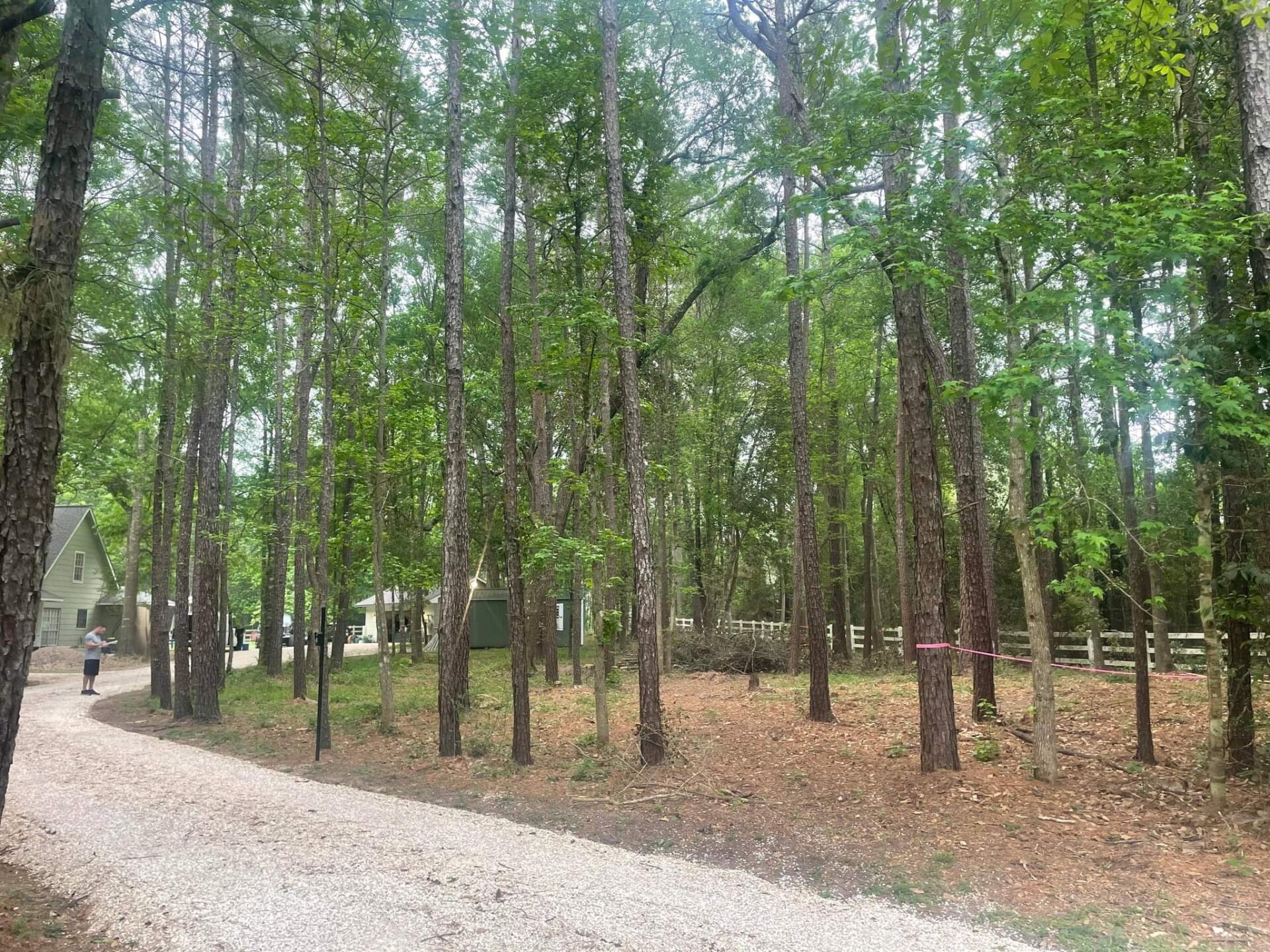 Underbrush removal services