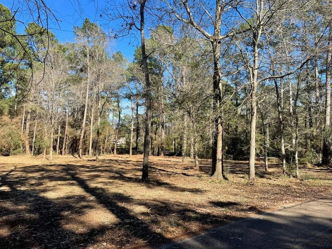 Underbrush removal services