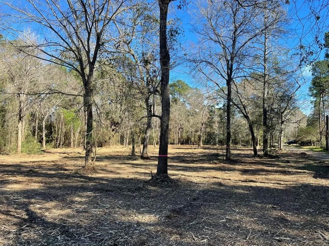 Underbrush removal services