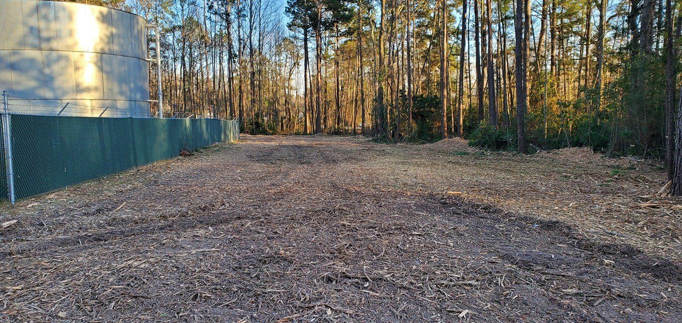 Forestry mulching