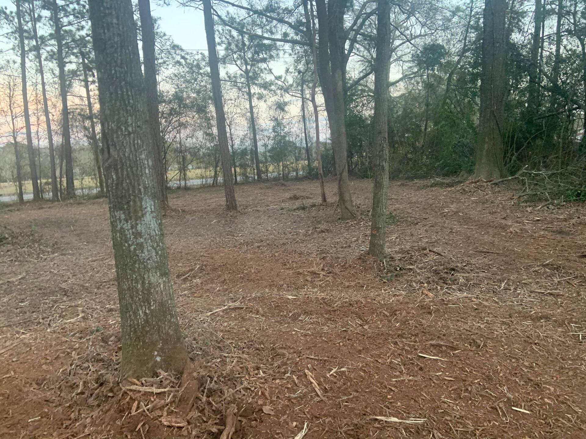 Forestry mulching