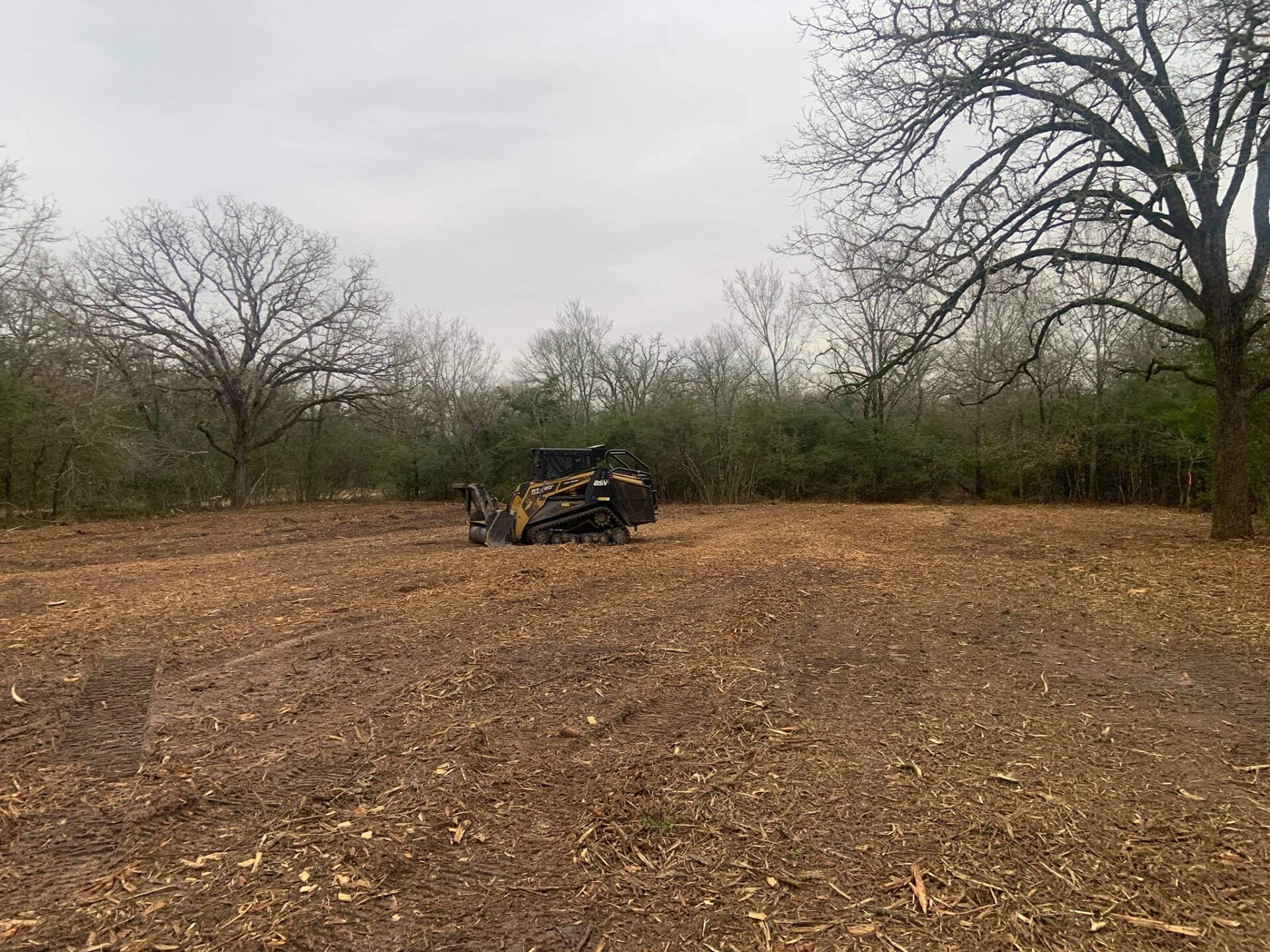 Forestry mulching