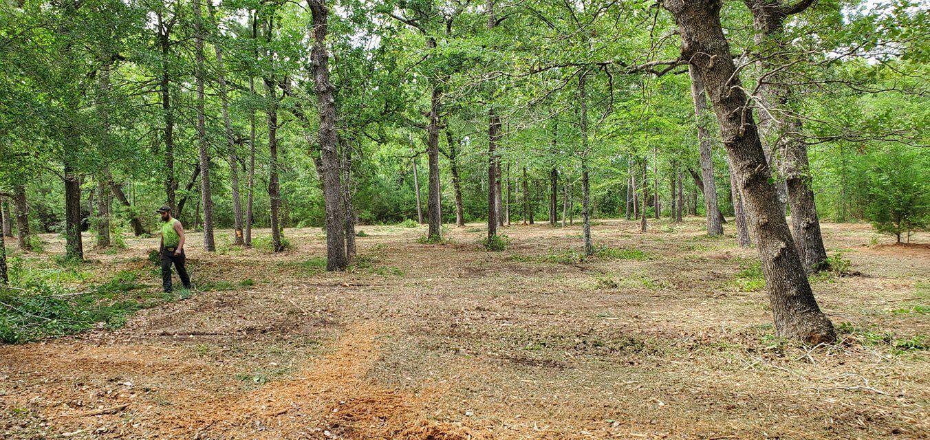 Underbrush removal services