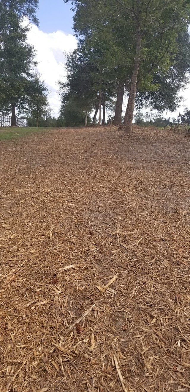 Forestry mulching