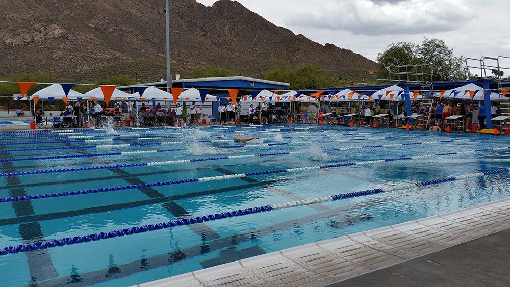 Swim | Swim Suits and Equipment | Champion Pool and Spa Supply ...