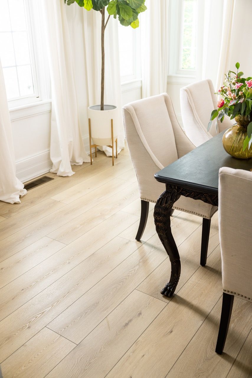 a dining room with a table and chairs and a potted plant