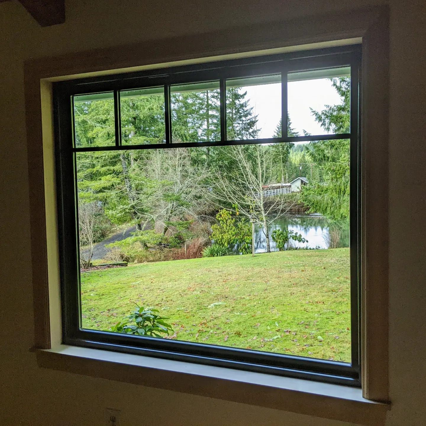 A square window with black trim, framed by beige wood, overlooking a green yard and trees.