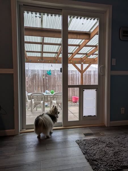 Dog looking through a sliding glass door with a doggy door. Patio with furniture and a covered area is visible.