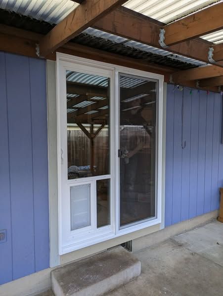 White sliding door with pet door, set in blue building. Under a wooden and corrugated metal roof.
