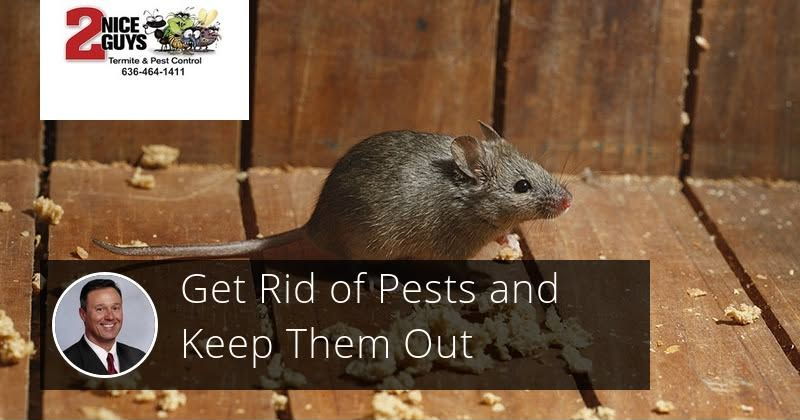 Mouse near wood, promoting pest control service. Man's face, company logo. Text: Get rid of pests and keep them out.