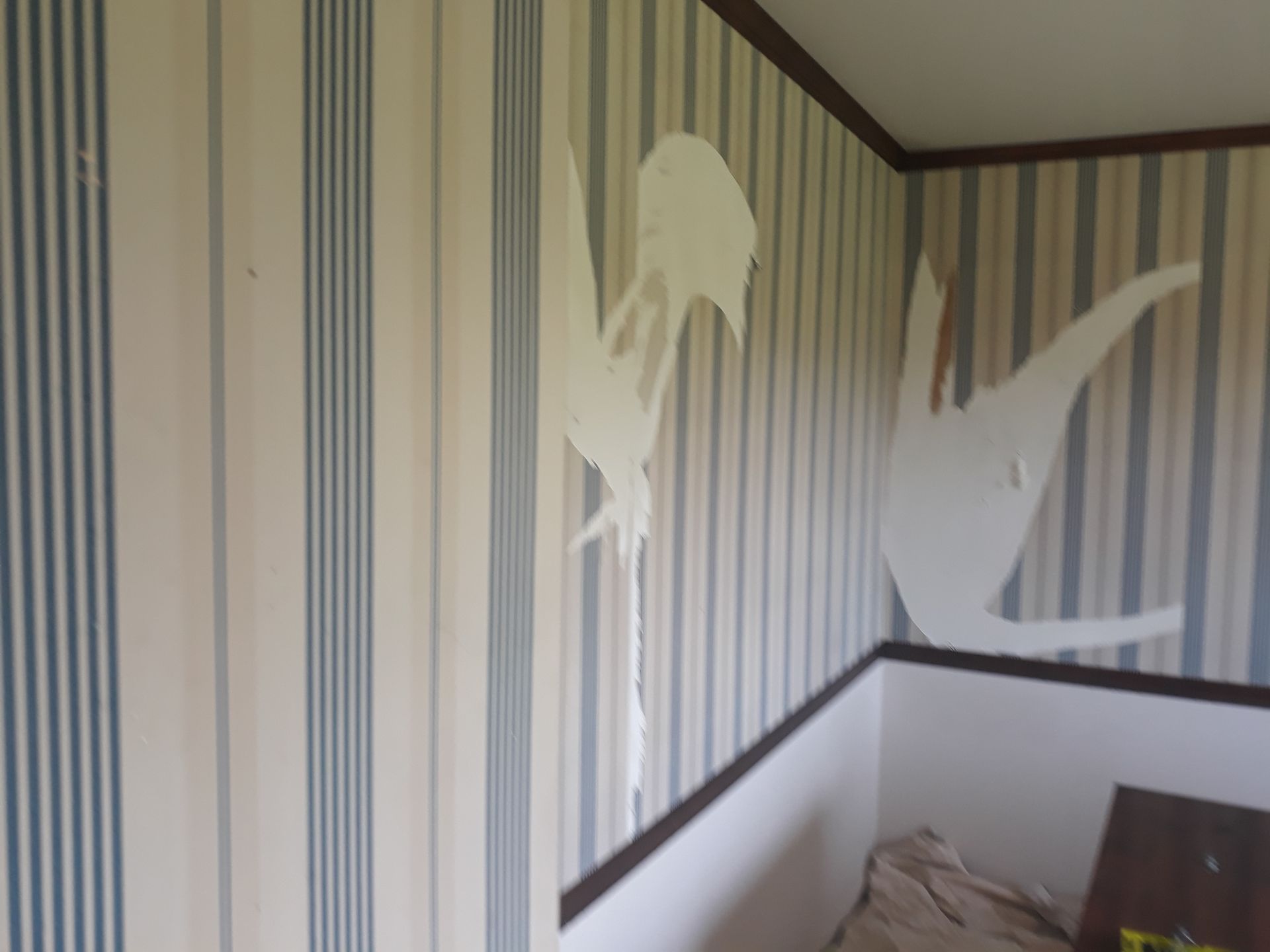 stripping wallpaper