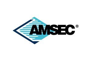 American Security Safes