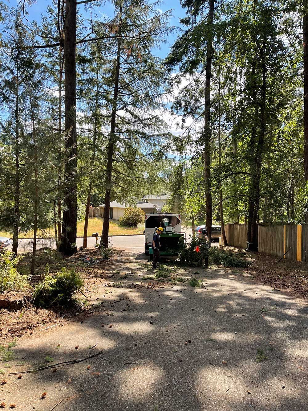 A white van is parked in a driveway surrounded by trees.