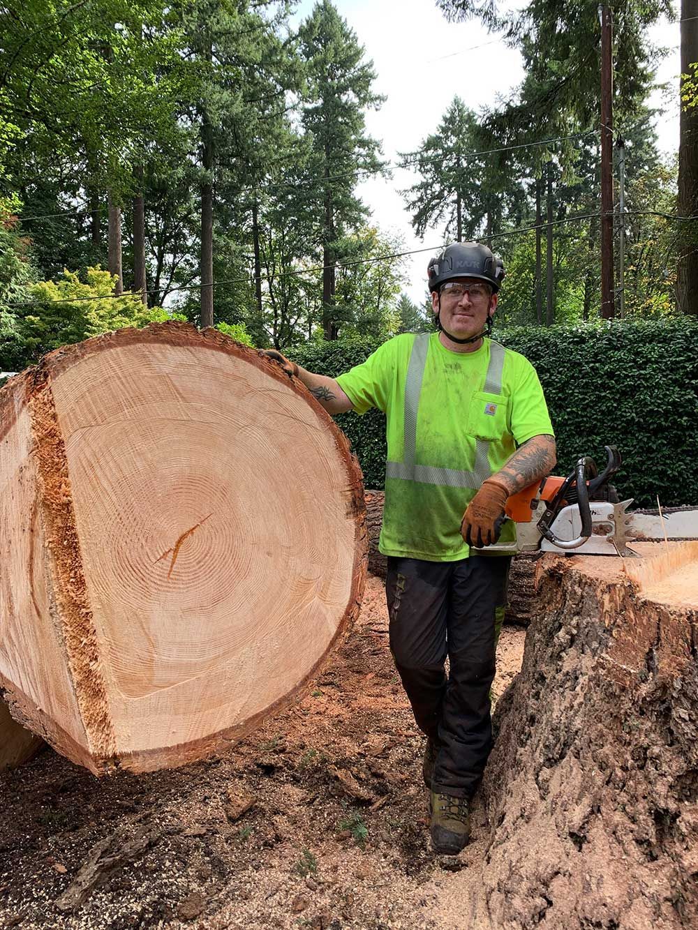 A man is standing next to a large tree stump.
