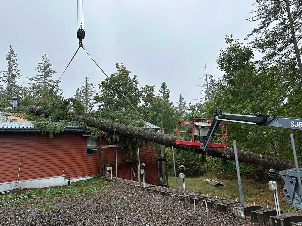 A crane is lifting a tree branch over a house.