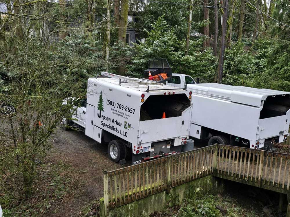 Two white trucks are parked next to each other in the woods.