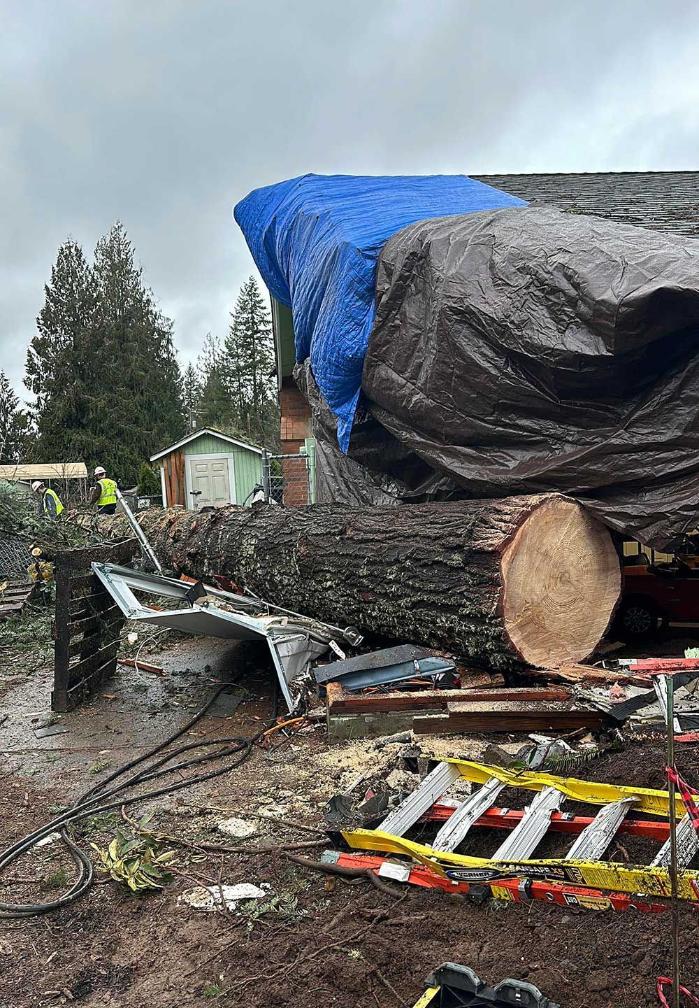 A large log is sitting on top of a pile of wood next to a ladder.