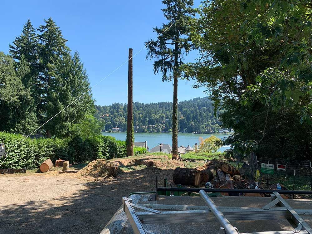 A ladder is sitting in the middle of a dirt road next to a lake.