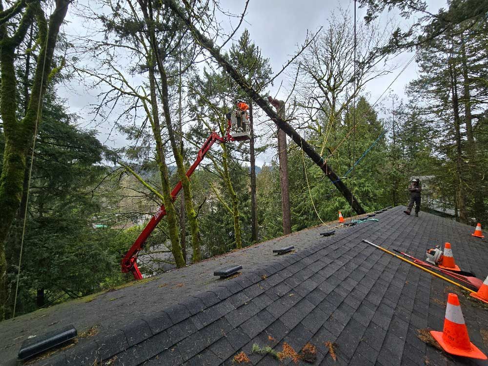 A man is working on a roof with a crane.