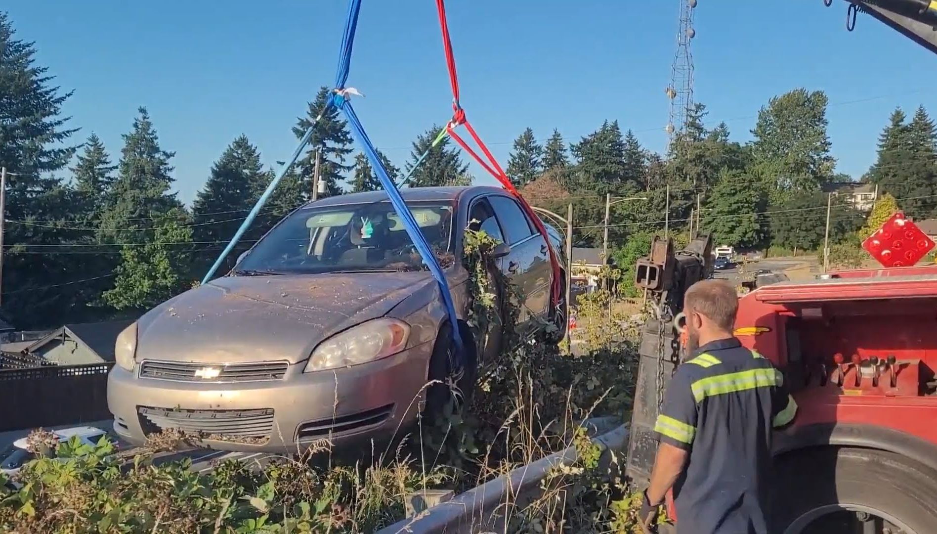 Old car with plants being pulled from a spot full of vegetation