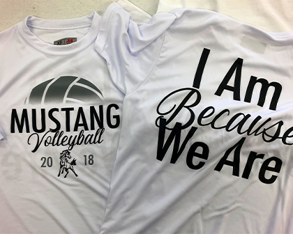 Mustang Volleyball