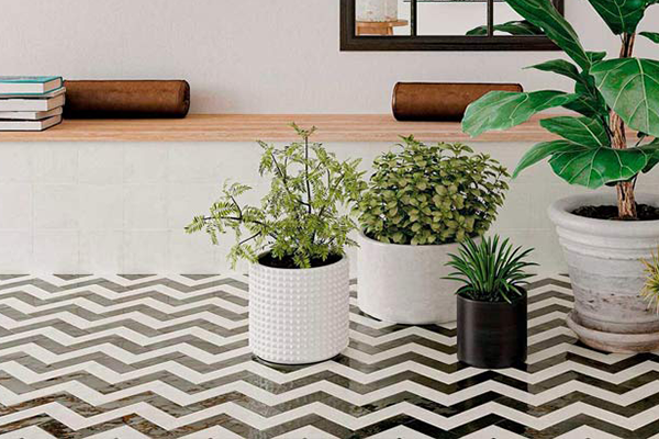 porcelain tile showroom greenville sc