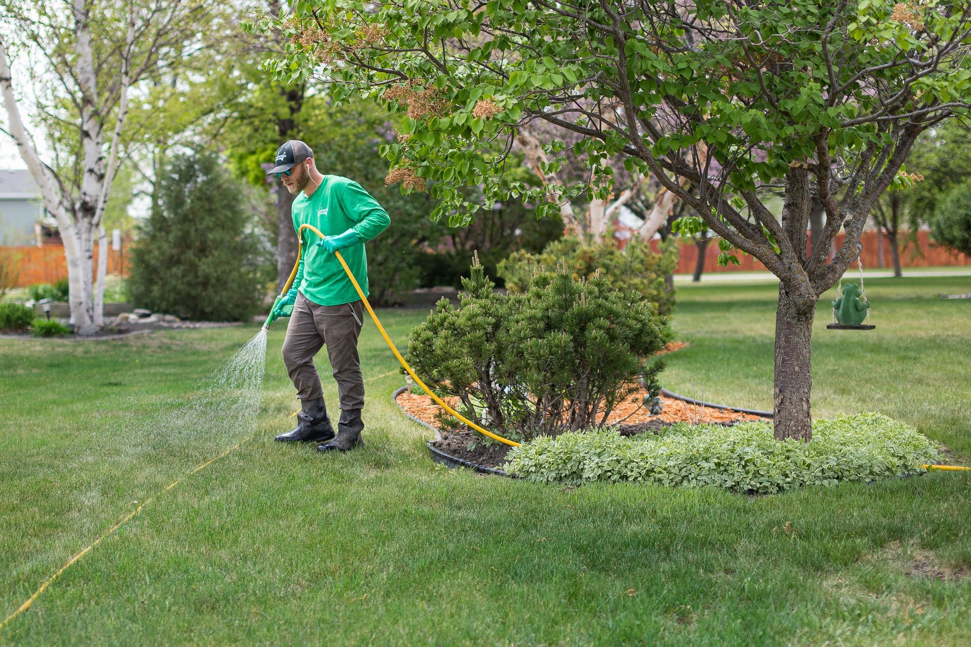 Weed & Feed | Fertilization | Lawn King