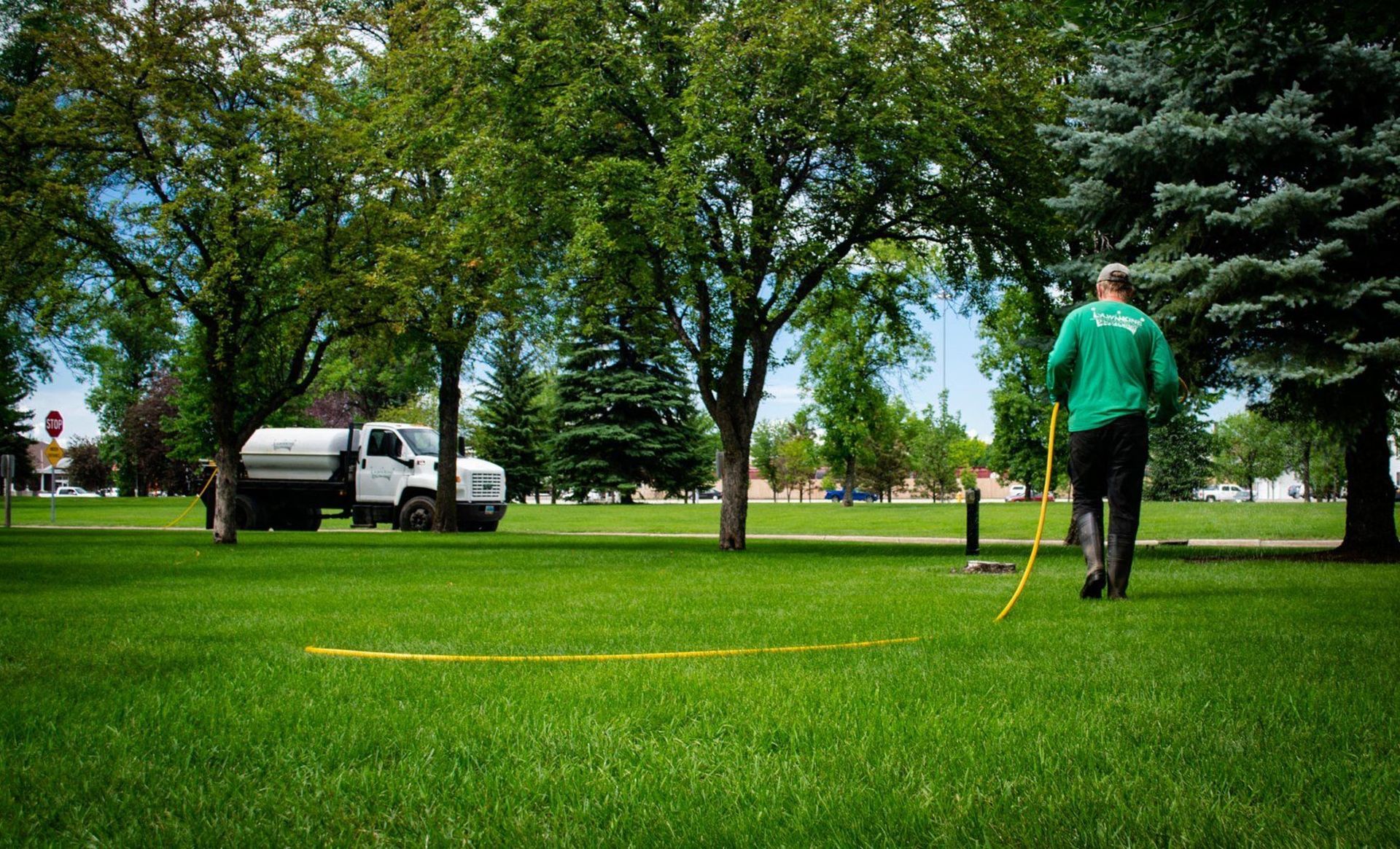 Weed & Feed | Fertilization | Lawn King