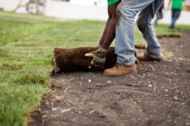 a man is laying a roll of grass on the ground .
