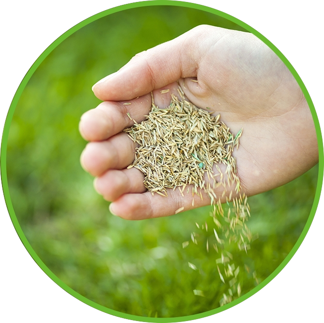 a circle with grass and a sidewalk in it