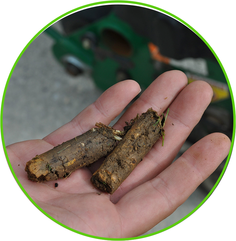 a circle with grass and a sidewalk in it