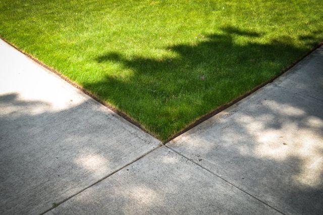 Edging |Perfect Lawn | Lawn King