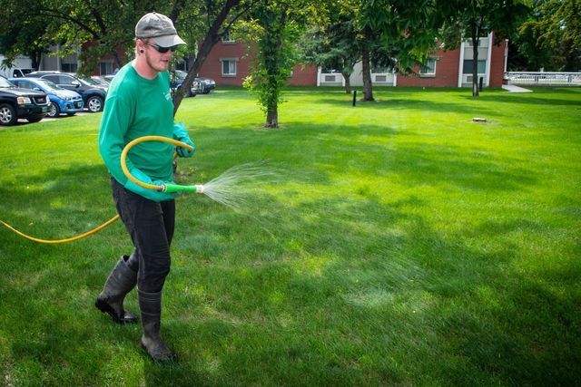 Weed & Feed | Fertilization | Lawn King