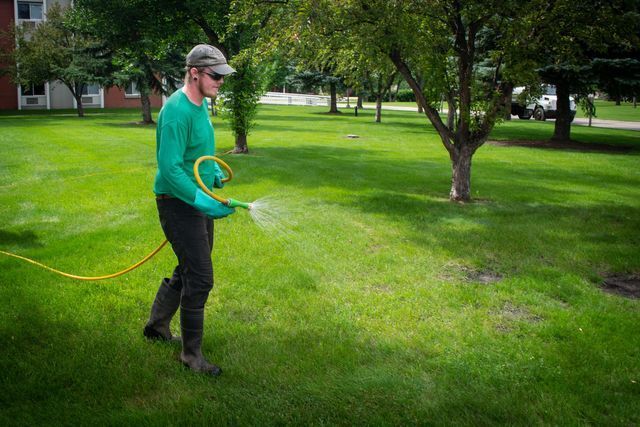 Weed & Feed | Fertilization | Lawn King