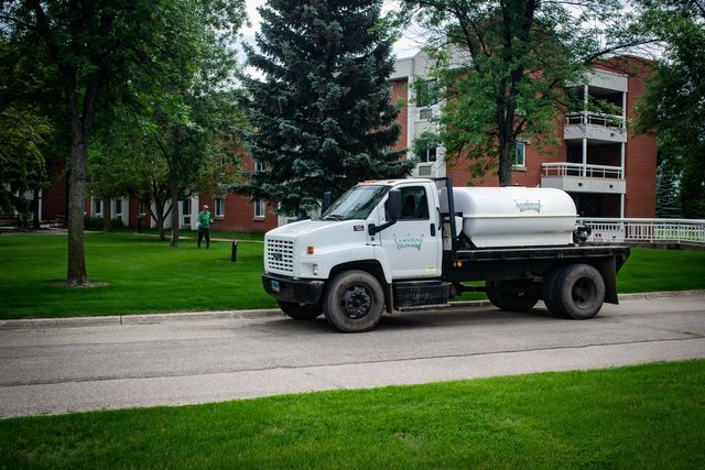 Weed & Feed | Fertilization | Lawn King