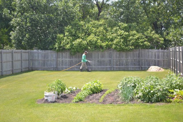 Weed & Feed | Fertilization | Lawn King