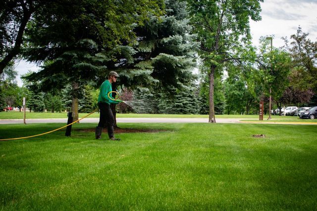 Weed & Feed | Fertilization | Lawn King